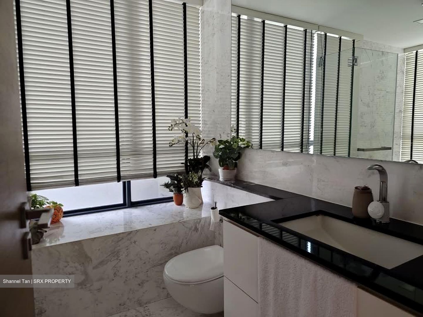 The Trizon (D10), Condominium #540612121